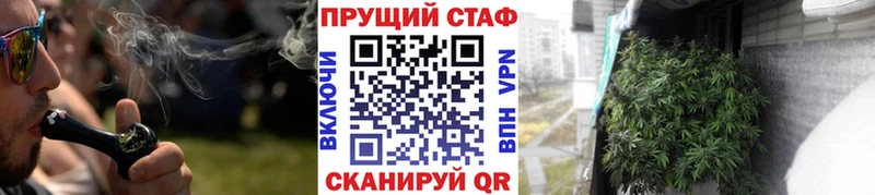 Где купить наркотики Новокузнецк СК  Мефедрон  Псилоцибиновые грибы  Cocaine 