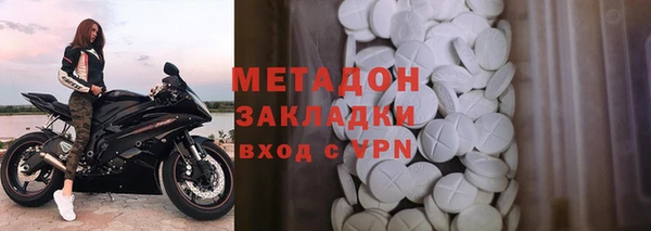 прущие грибы Осинники