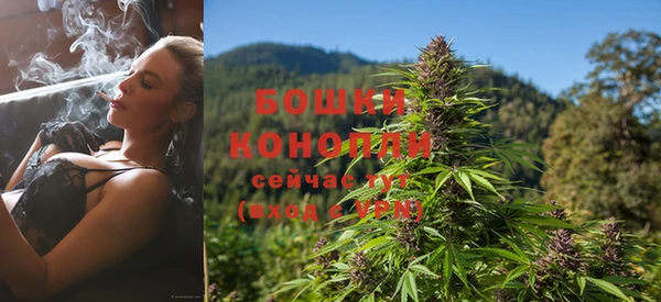 прущие грибы Осинники