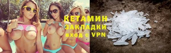 прущие грибы Осинники