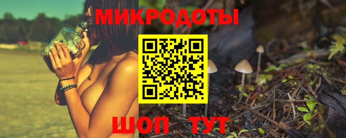 Псилоцибиновые грибы Psilocybine cubensis Новокузнецк